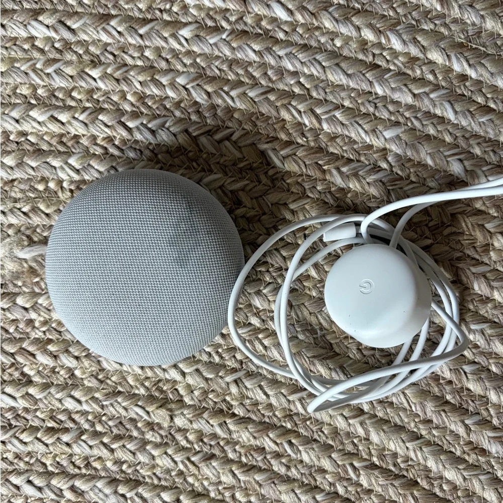 Google Mini Portable Speaker